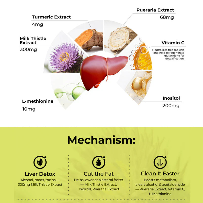 Eloura™ Milk Thistle Capsules - Finally Stop Feeling Like You're Operating at 60% Capacity